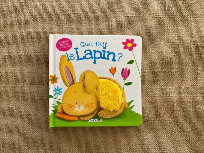 Livre Que fait le Lapin ? Carrousel d'occasion