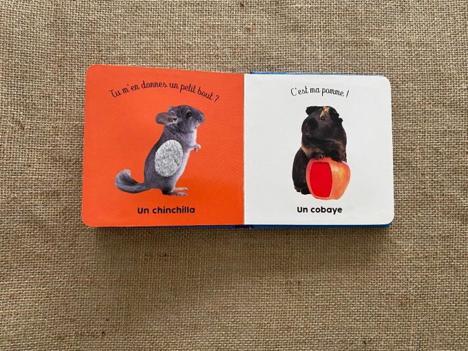 Livre les animaux domestiques Langue au Chat d'occasion