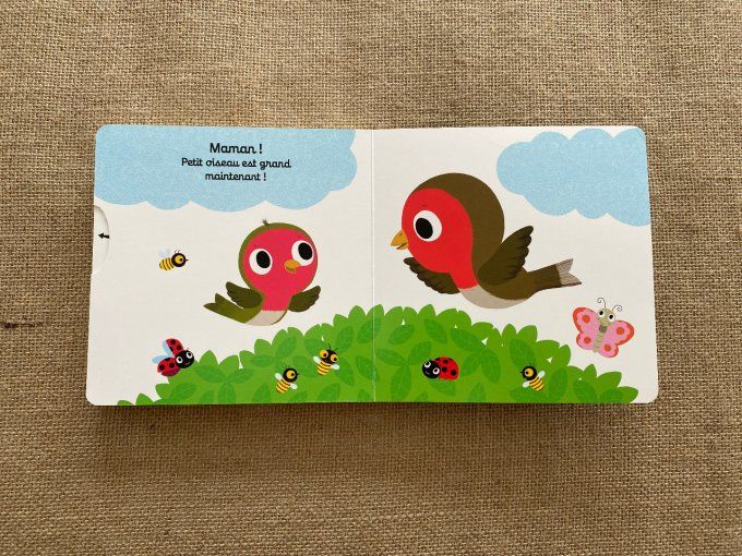 Livre Bonjour petit oiseau ! Nathan d'occasion 